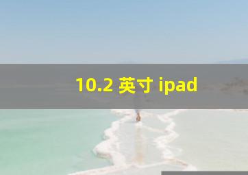 10.2 英寸 ipad